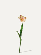 Tulipe perroquet 71 cm 1 pièce - fleur artificielle