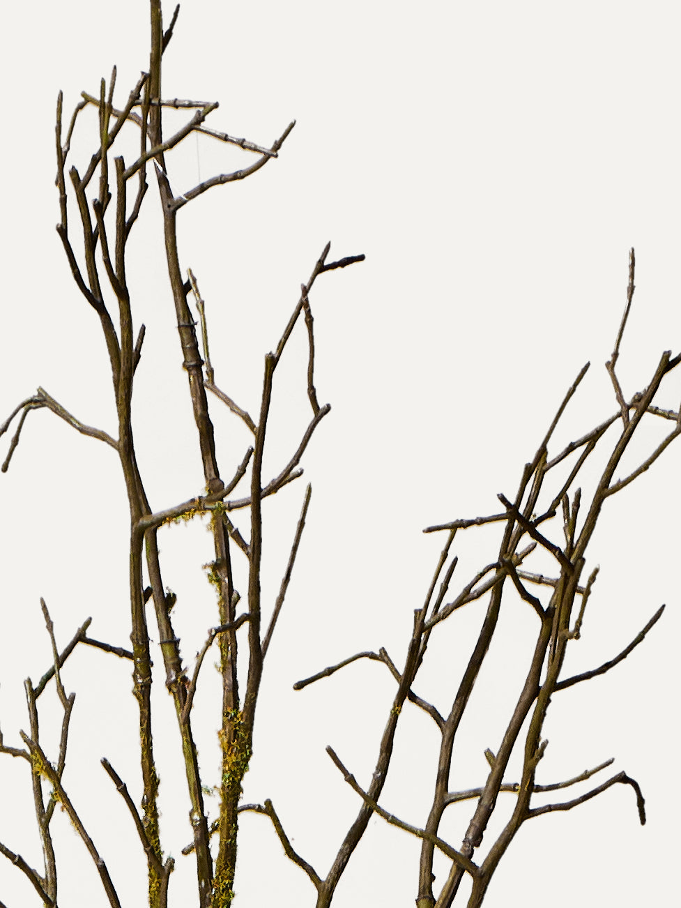Holz Ast Zweig 107 cm - Kunstzweig