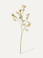 Mimosenzweig mit Früchten 96 cm 1 Stk. - Kunstzweig