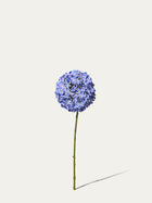 Hortensie 68 cm 1 Stk. - Kunstblume