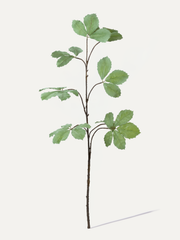 Leaf Branch 161 cm 1 pc. - Artificial Branch
