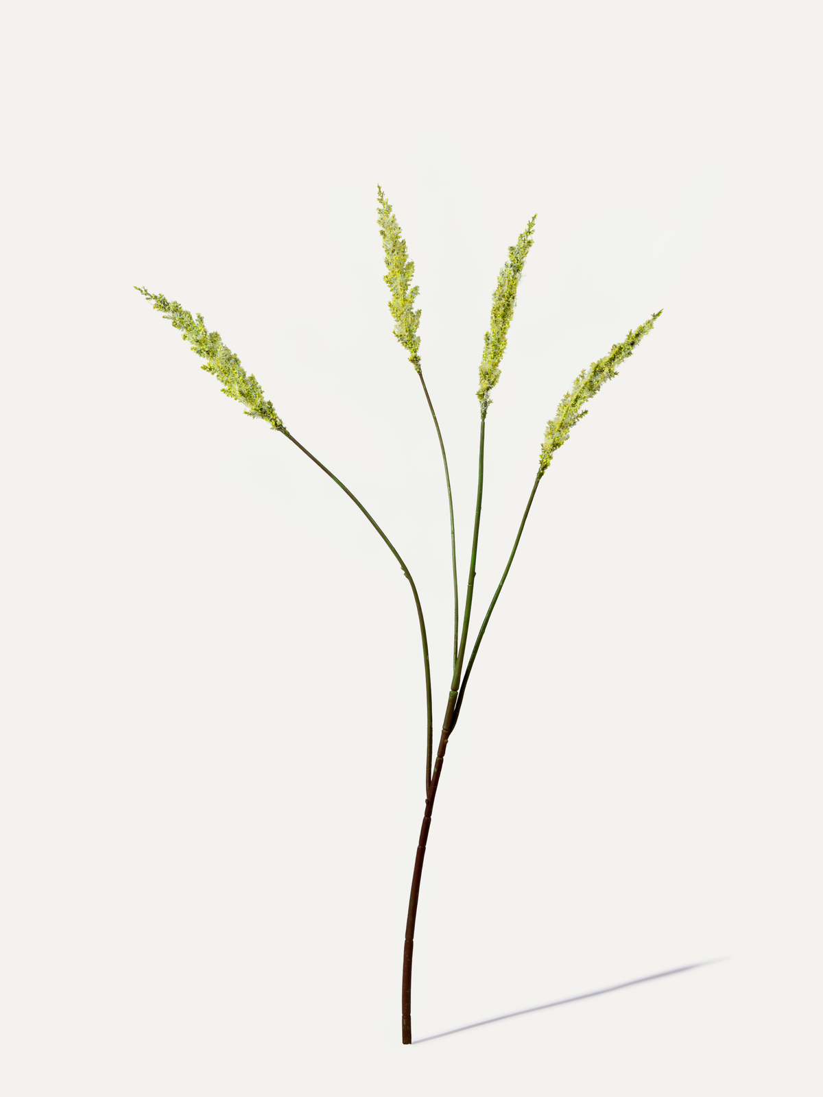 Foxtail 82 cm 1 pc. - Artificial branch