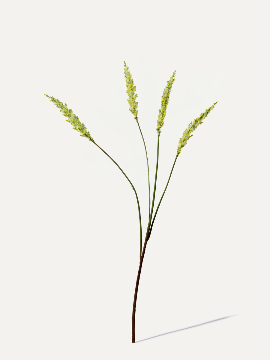 Foxtail 82 cm 1 pc. - Artificial branch