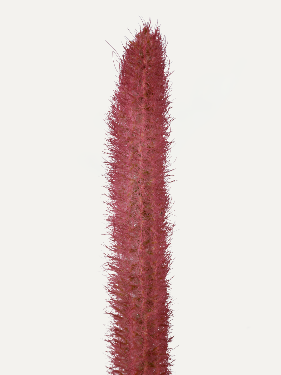 Fuchsschwanz 140 cm 1 Stk. - Kunstzweig