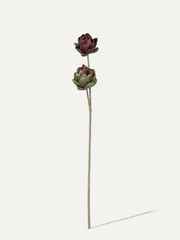 Protea 93 cm 1 Stk. - Kunstblume