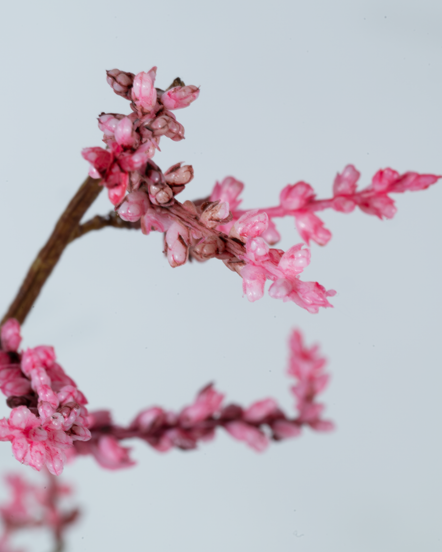 Tamarisk branch 128 cm 1 pc. - Artificial branch