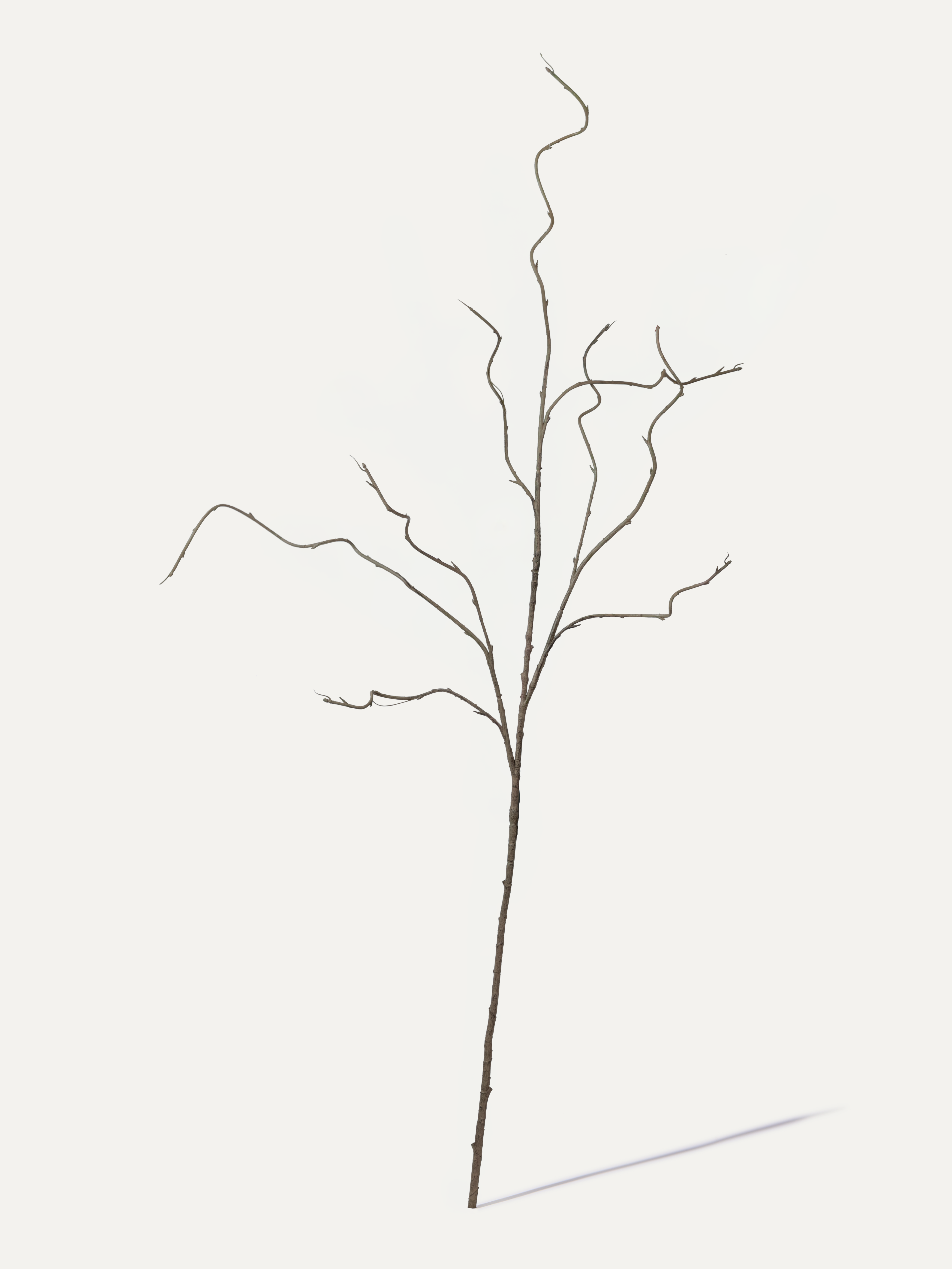 Weidenzweig 134 cm 1 Stk. - Kunstzweig