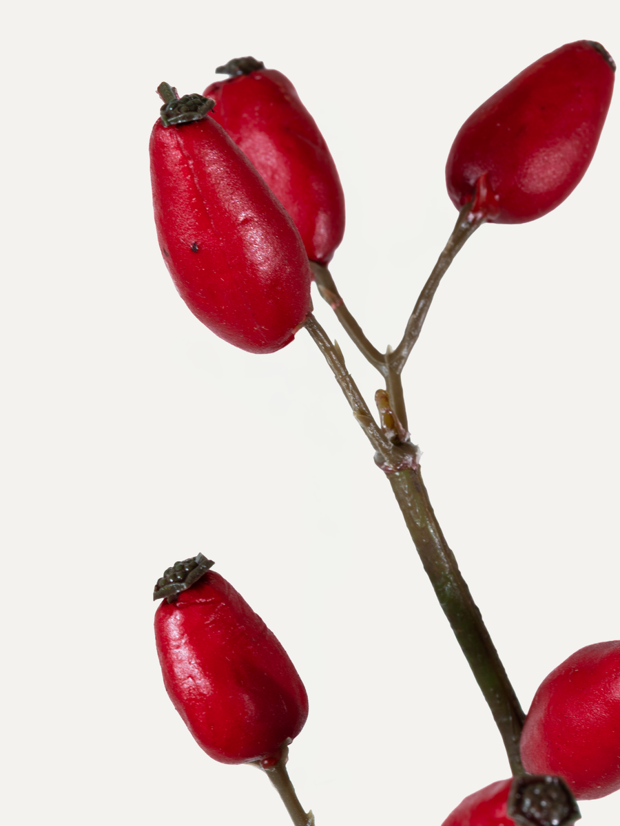 Rosehip Branch 147 cm 1 pc. - Artificial Branch