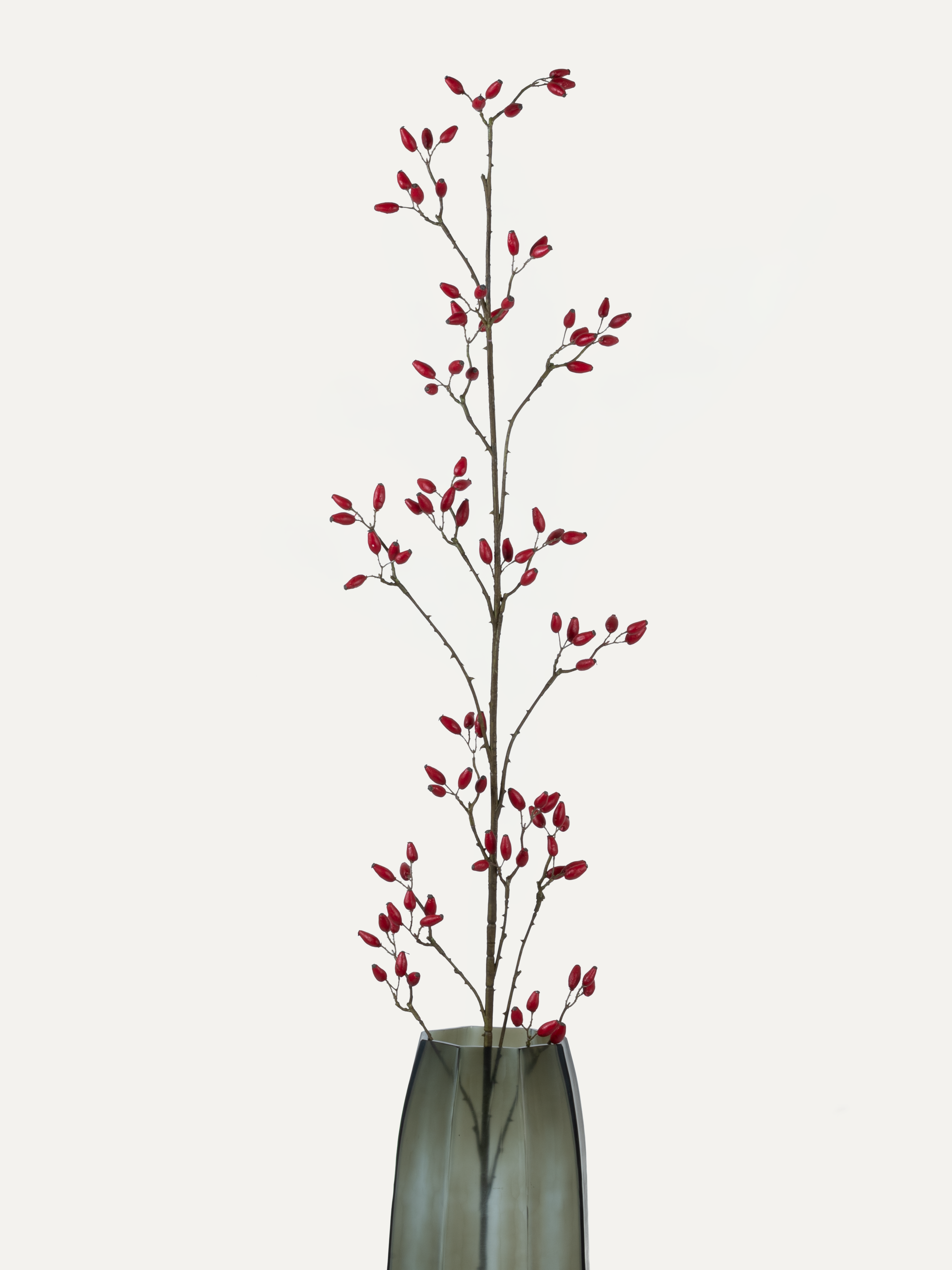 Rosehip Branch 147 cm 1 pc. - Artificial Branch