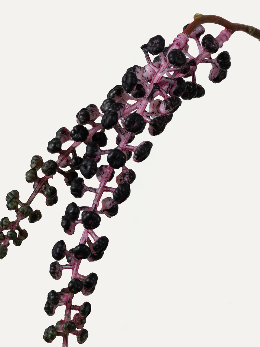 Pokeweed 123 cm 1 pc - Artificial branch