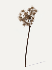 Bear Claw 98 cm 1 pc - Artificial Flower