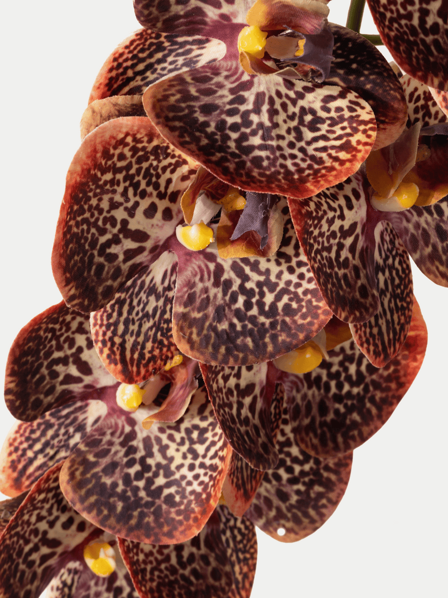 Phalaenopsis Orchid 111 cm 1 pc. - Artificial Flower