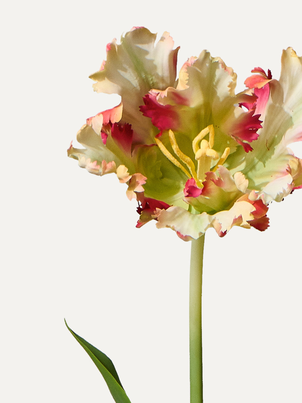 Tulipe perroquet 71 cm 1 pièce - fleur artificielle