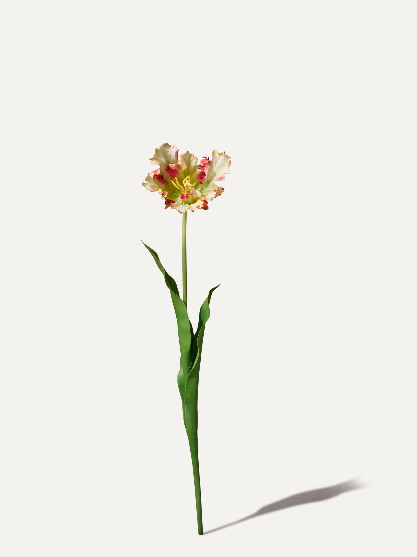 Tulipe perroquet 71 cm 1 pièce - fleur artificielle