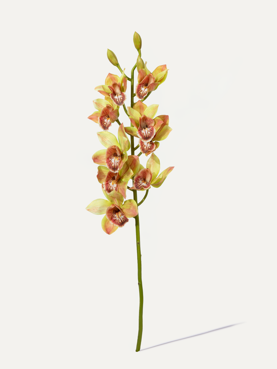 Canoe Orchid 93 cm 1 pc - Artificial Flower
