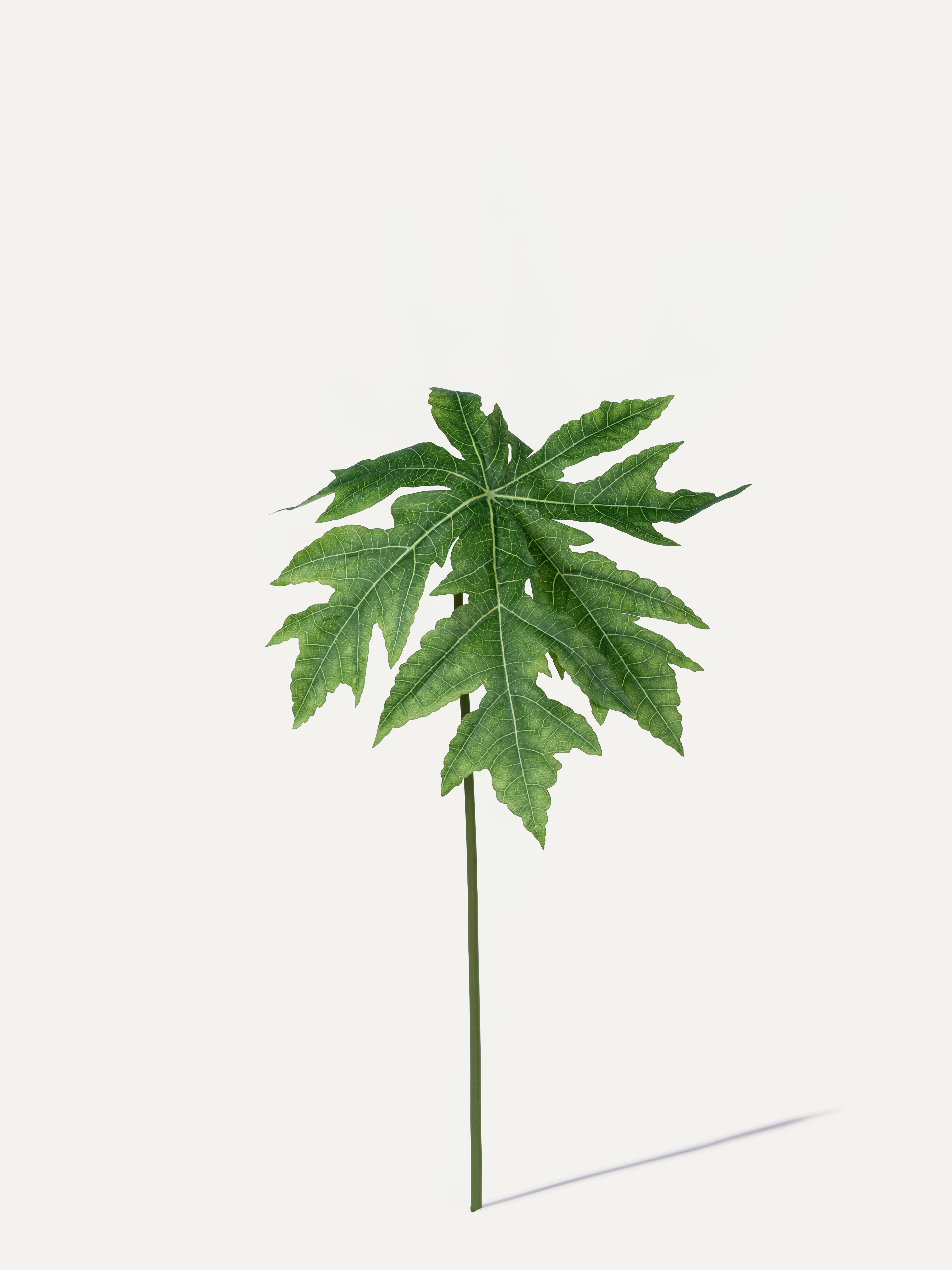 Leaf 70 cm 1 pc. - Artificial branch