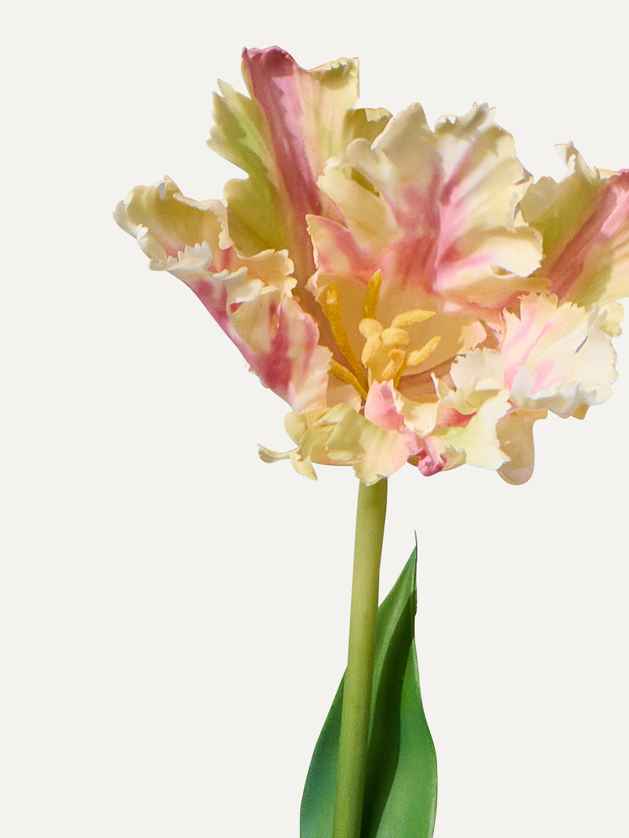 Papageientulpe 71 cm 1 Stk. - Kunstblume