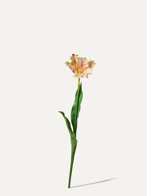 Tulipe perroquet 71 cm 1 pièce - fleur artificielle