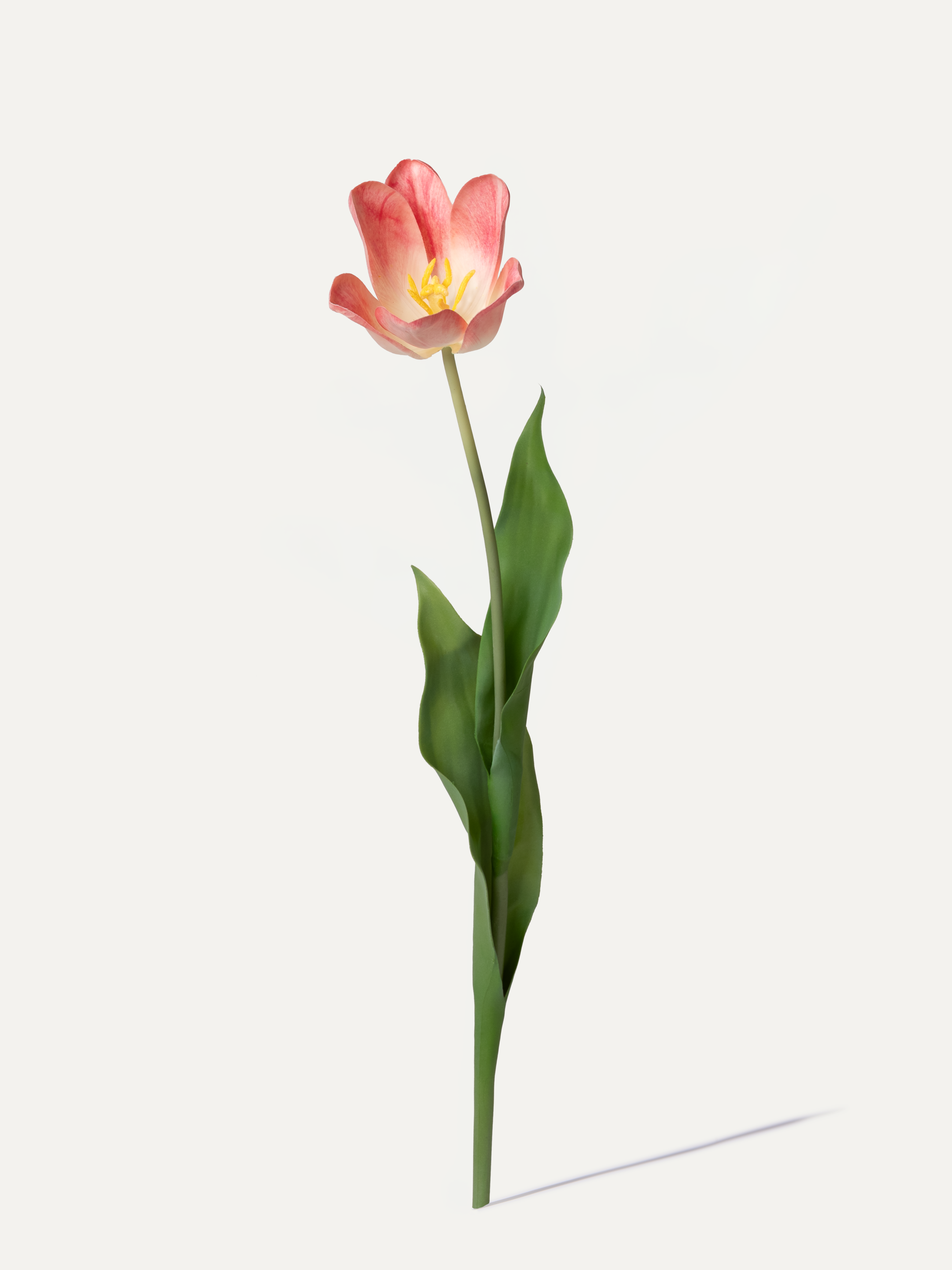 Tulip 71 cm 1st piece - artificial flower