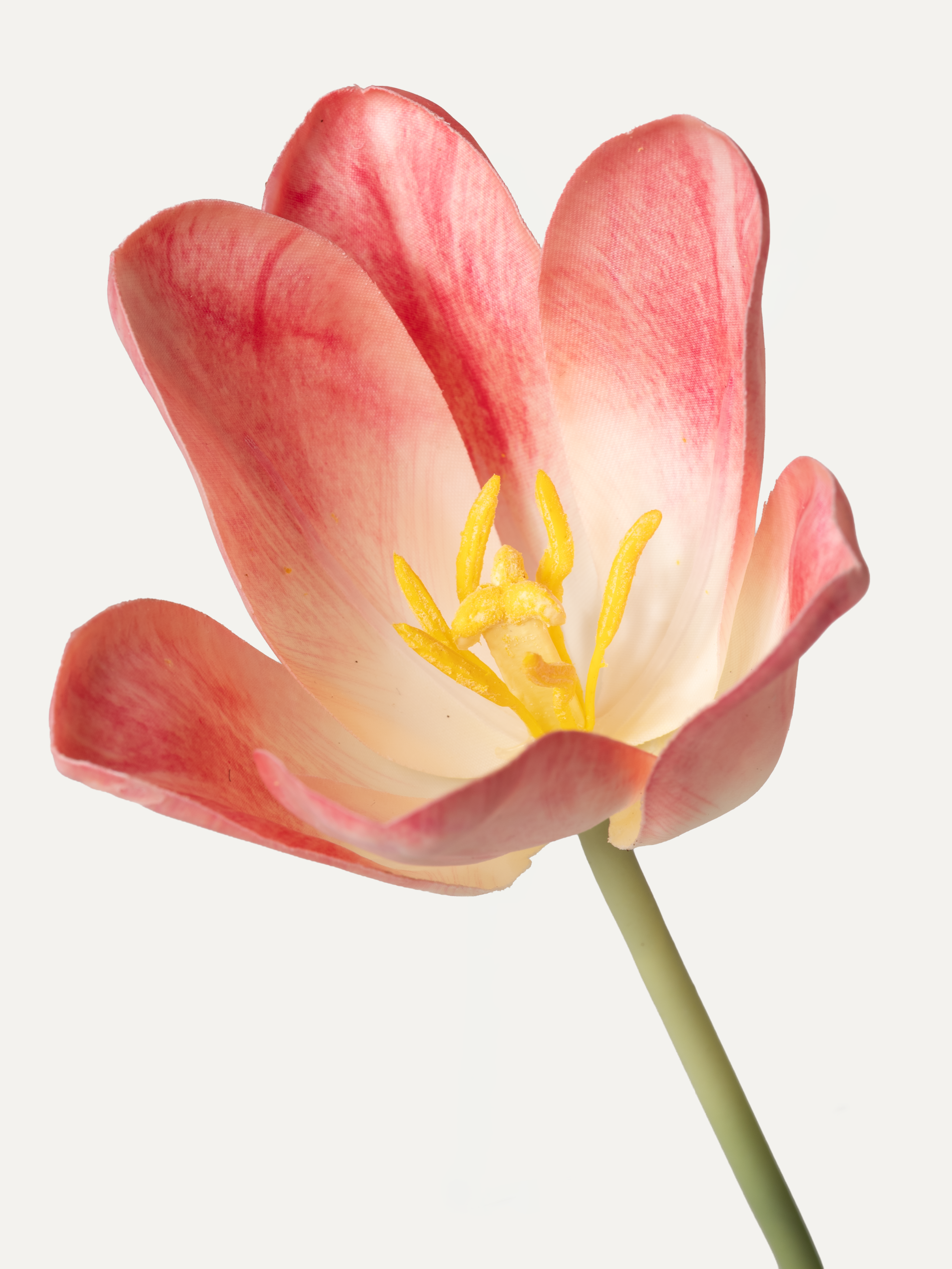 Tulip 71 cm 1st piece - artificial flower