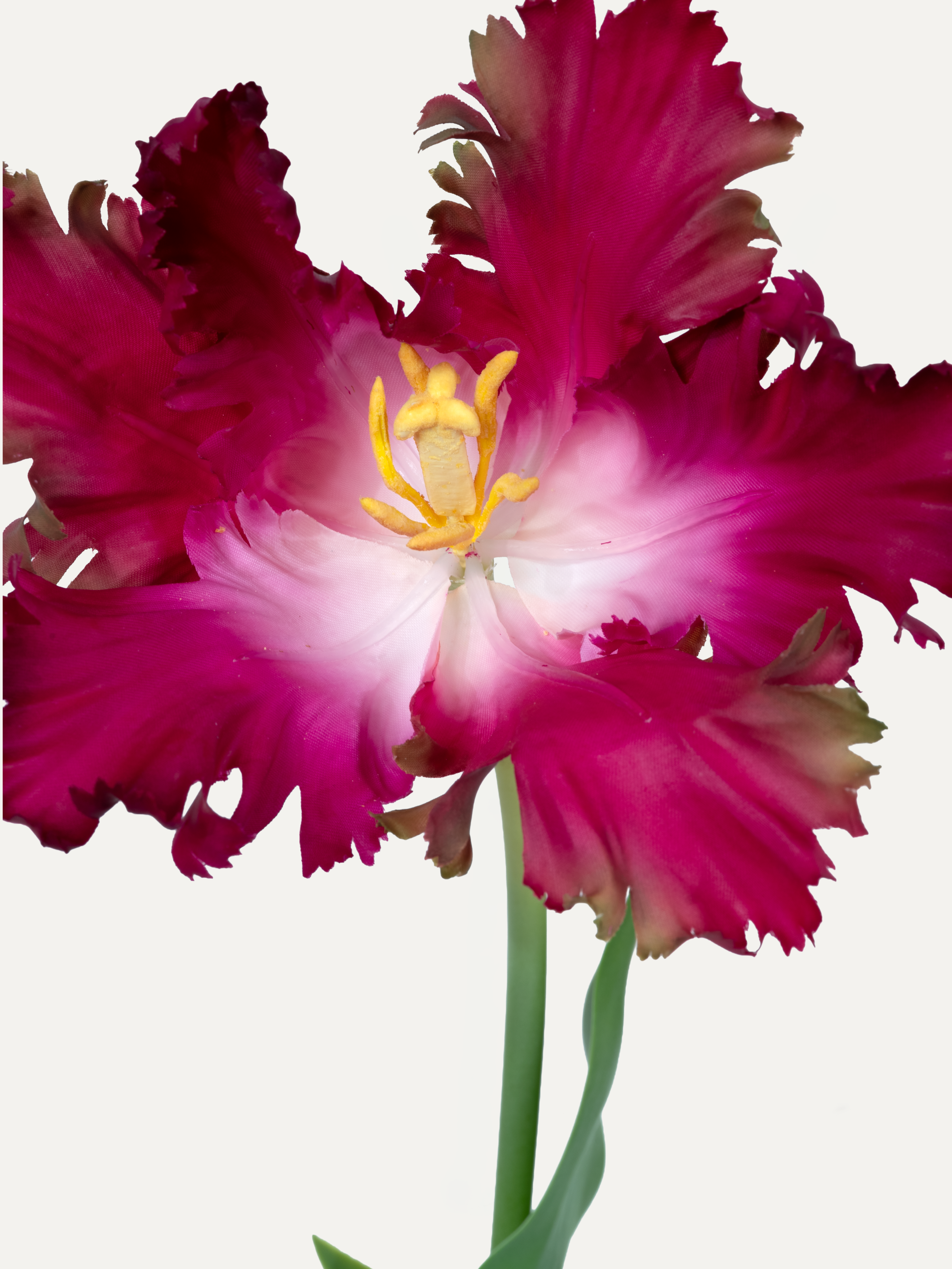 Papageientulpe 71 cm 1 Stk. - Kunstblume
