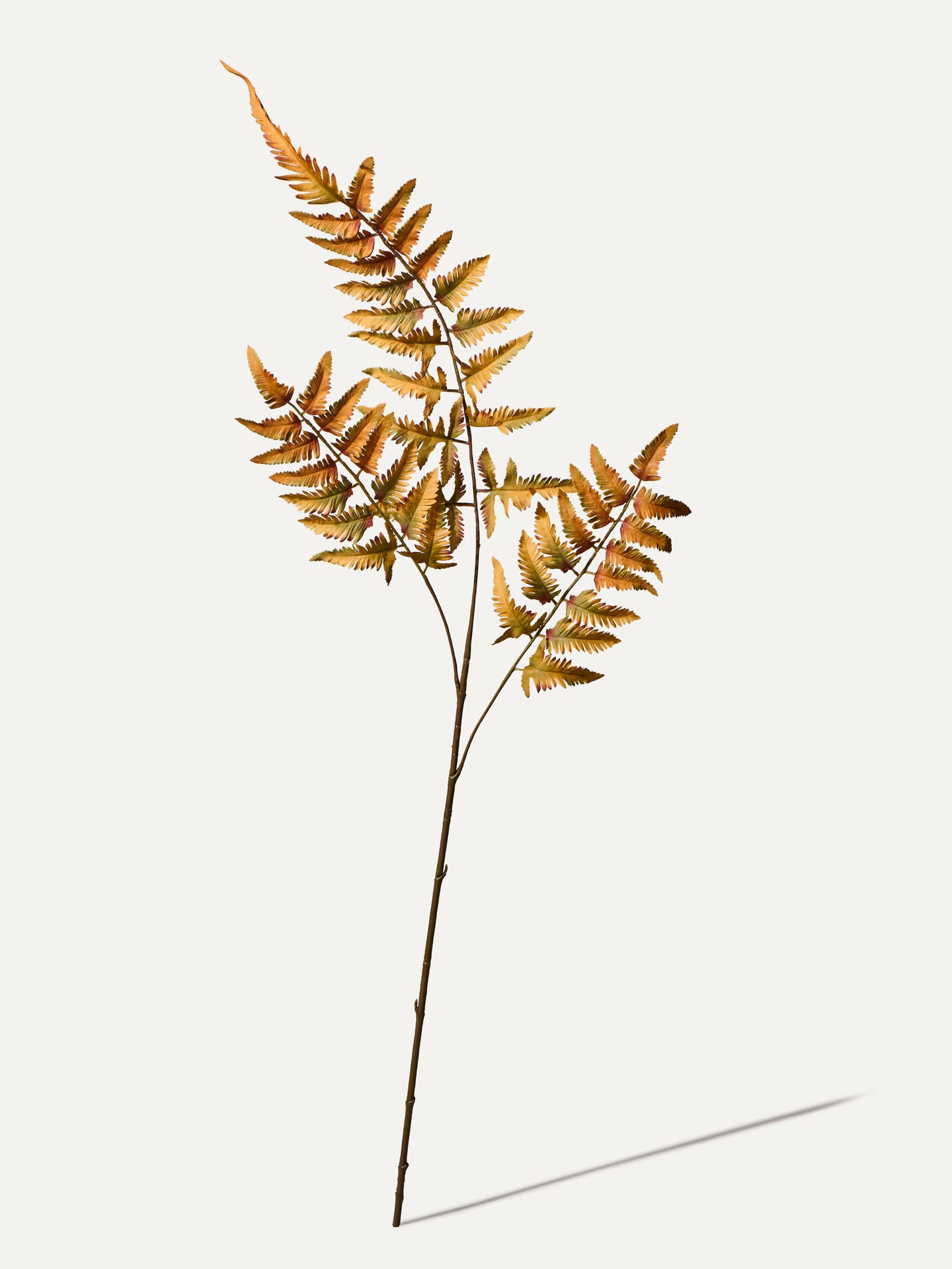 Farn Zweig 108 cm