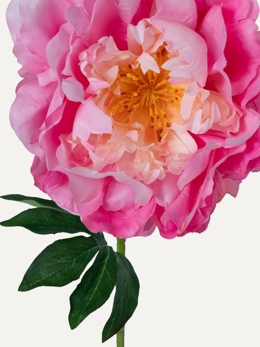 Pfingstrose 79 cm 1 Stk. - Kunstblume