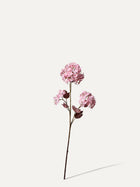 Schneeball 69 cm 1 Stk. - Kunstblume