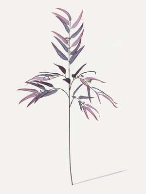 Palm Branch 123 cm 1 pc. - Artificial Branch