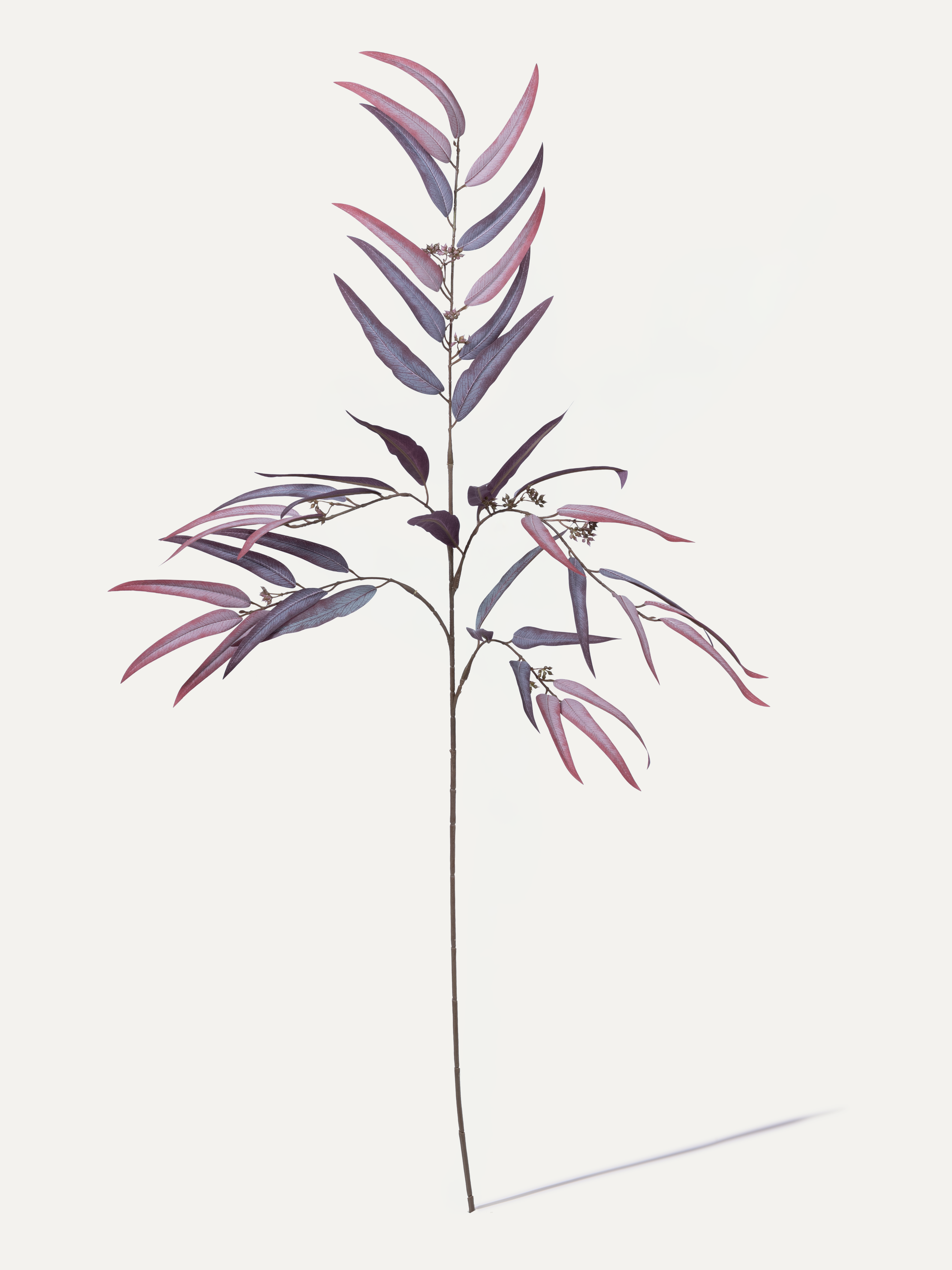 Palm Branch 123 cm 1 pc. - Artificial Branch