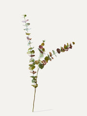 Eukalyptus Zweig 109 cm - Kunstzweig