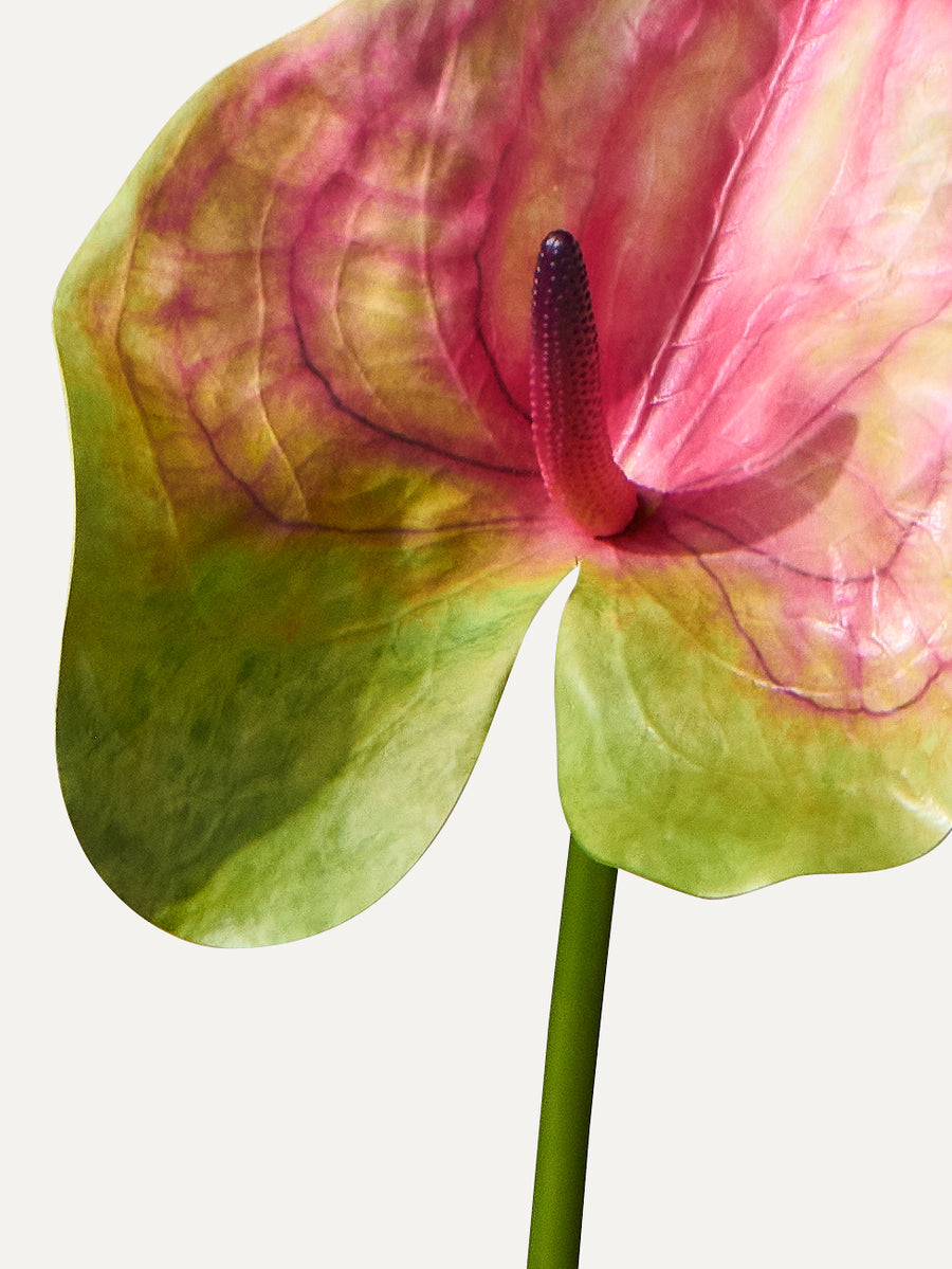 Flamingoblume 81 cm 1 Stk. - Kunstblume