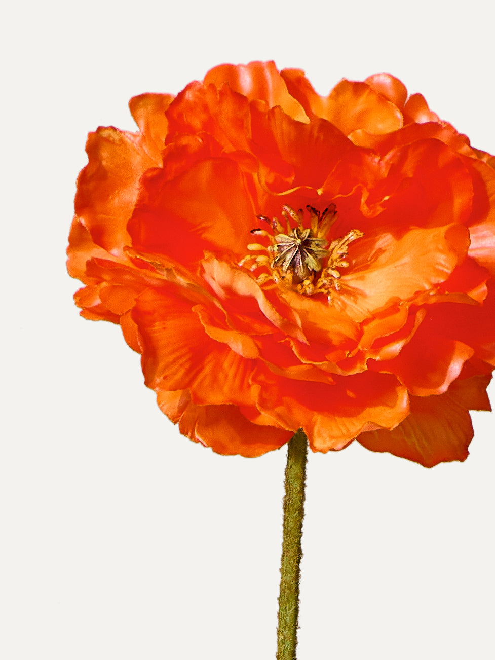 Poppy 73 cm 1 pc. - Artificial flower