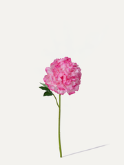 Pfingstrose 57 cm 1 Stk. - Kunstblume