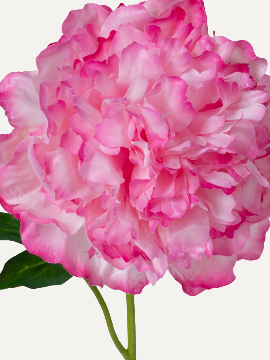 Pfingstrose 57 cm 1 Stk. - Kunstblume