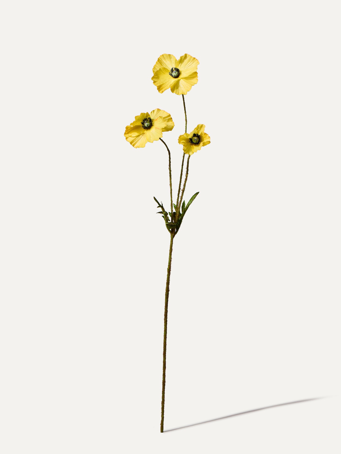 Mohnblume 81 cm