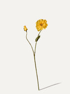 Mohnblume 74 cm 1 Stk. - Kunstblume