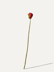 Mohnblume 74 cm