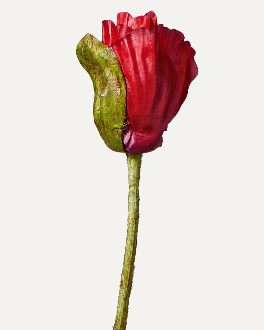 Mohnblume 74 cm 1 Stk. - Kunstblume