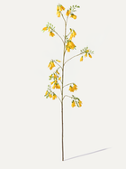 Branche de campanule 159 cm 1 pce - Branche artificielle