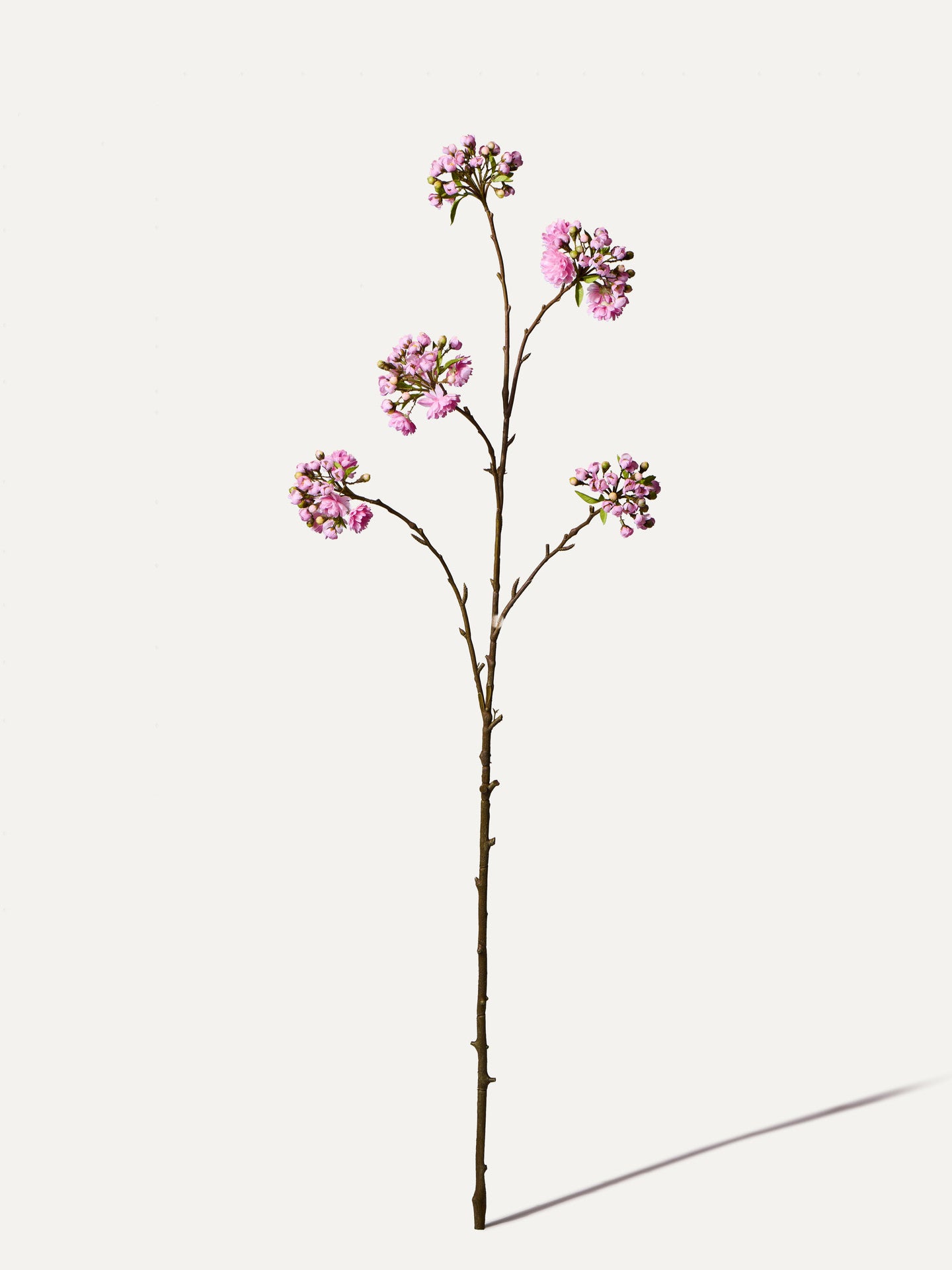 Blütenzweig 132 cm