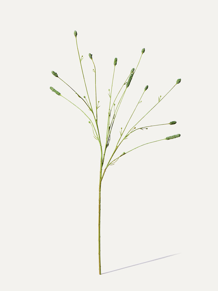 Pimpernel Zweig 84 cm - Kunstzweig