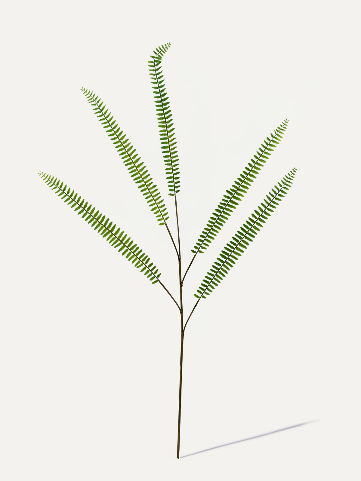 Farnzweig 106 cm 1 Stk. - Kunstzweig