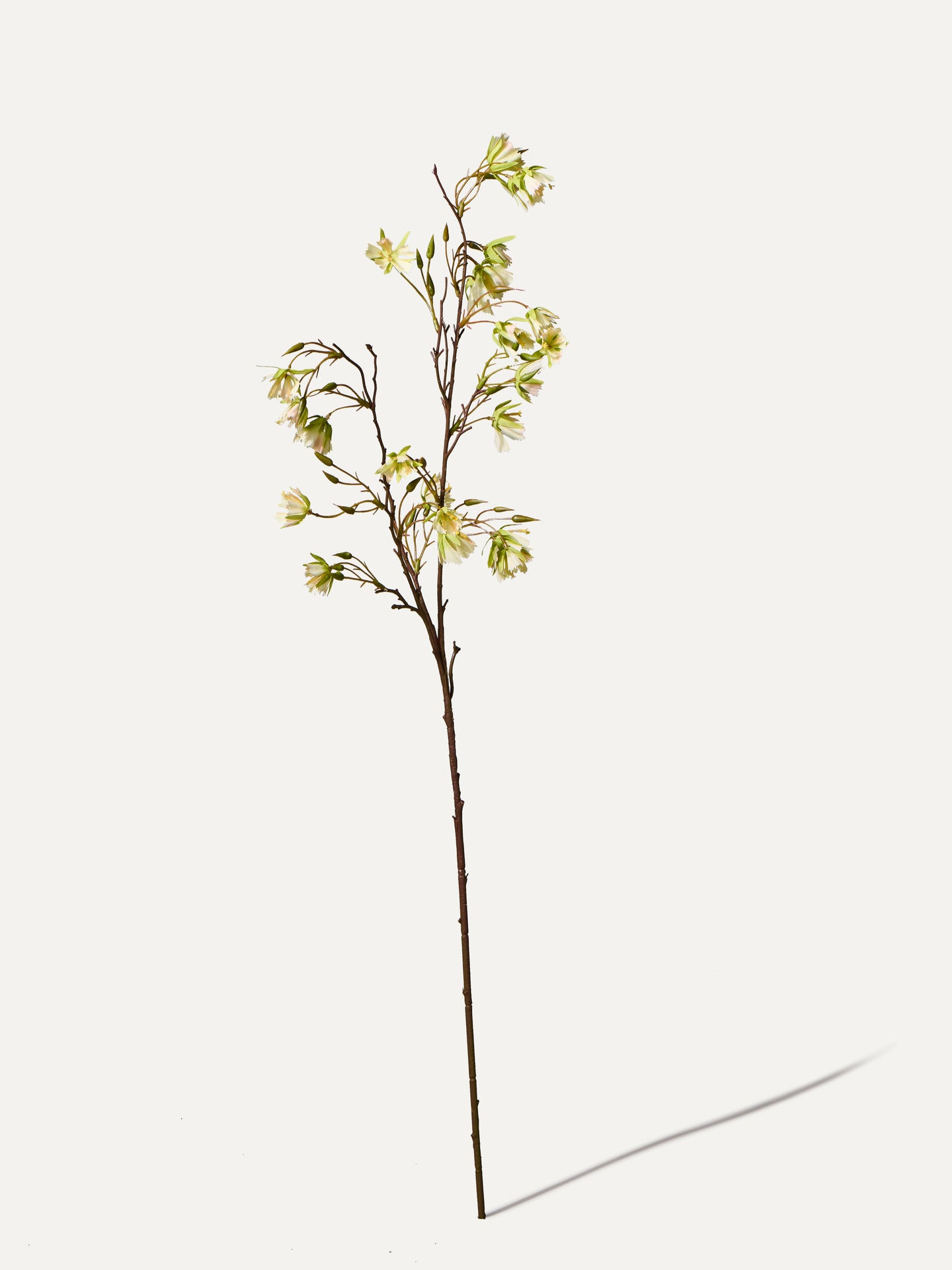 Ganiterbaum Zweig 99 cm