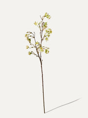Ganiterbaum Zweig 99 cm