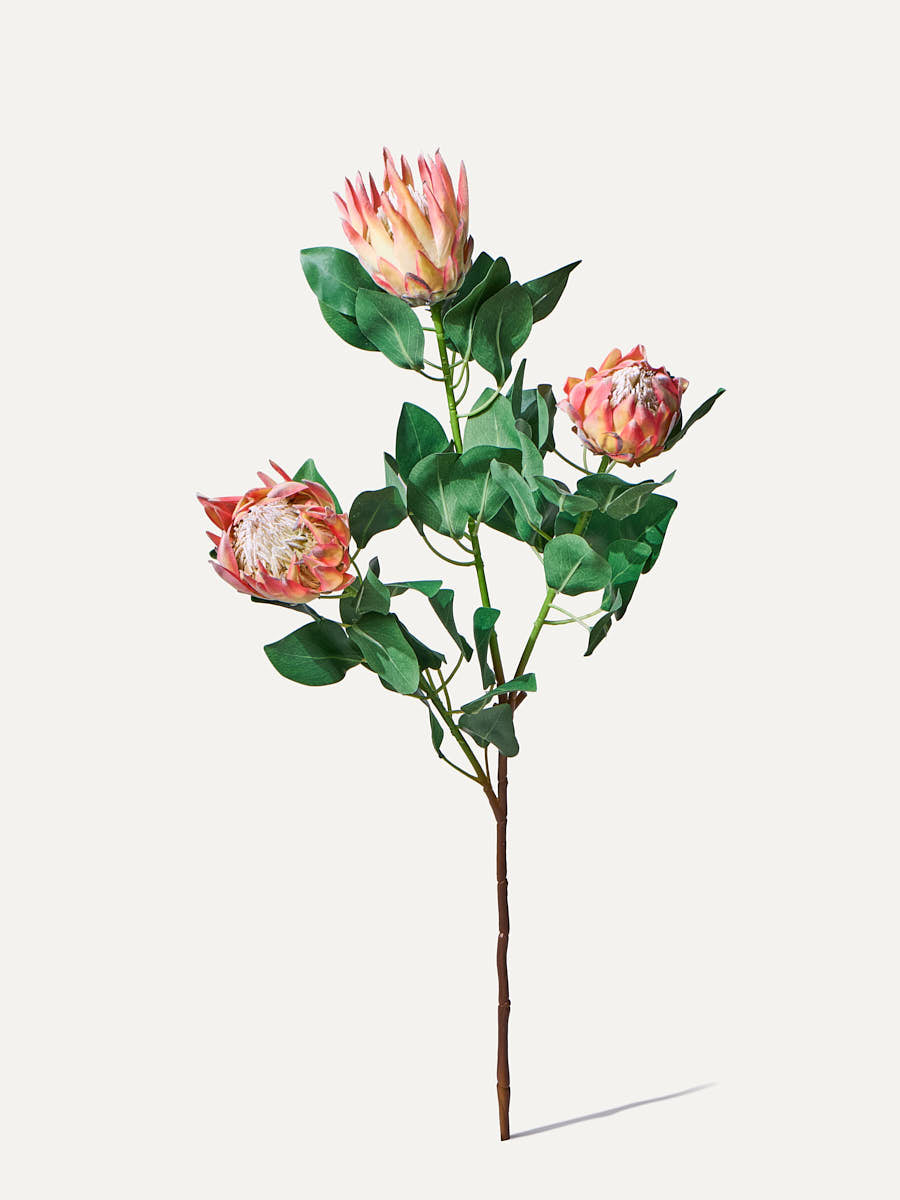 Protea Zweig 106 cm - Kunstblume