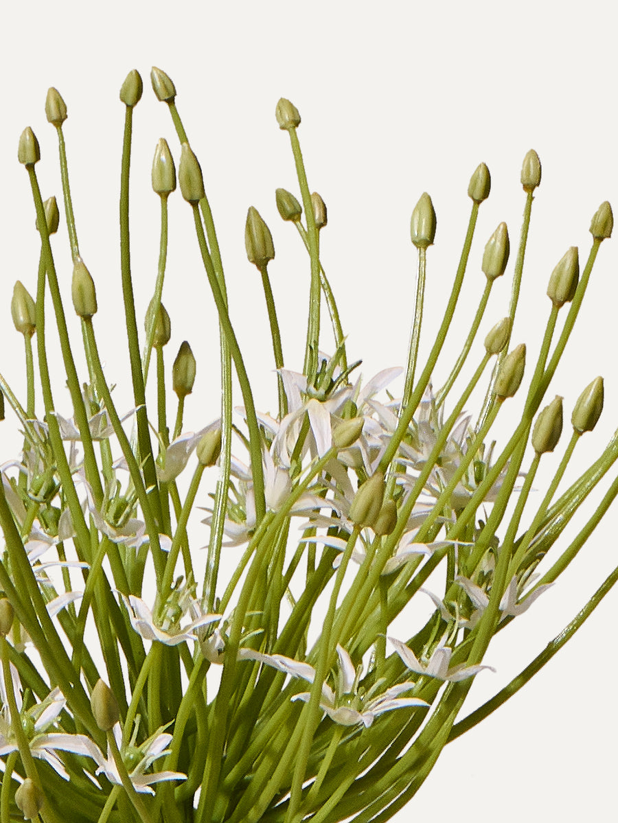 Allium 53 cm 1 Stk. - Kunstblume