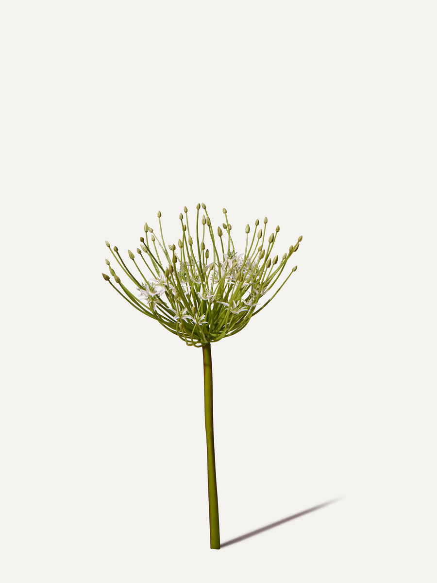 Allium 53 cm 1 Stk. - Kunstblume