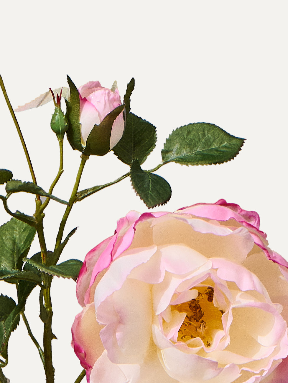 Rose Zweige 80 cm