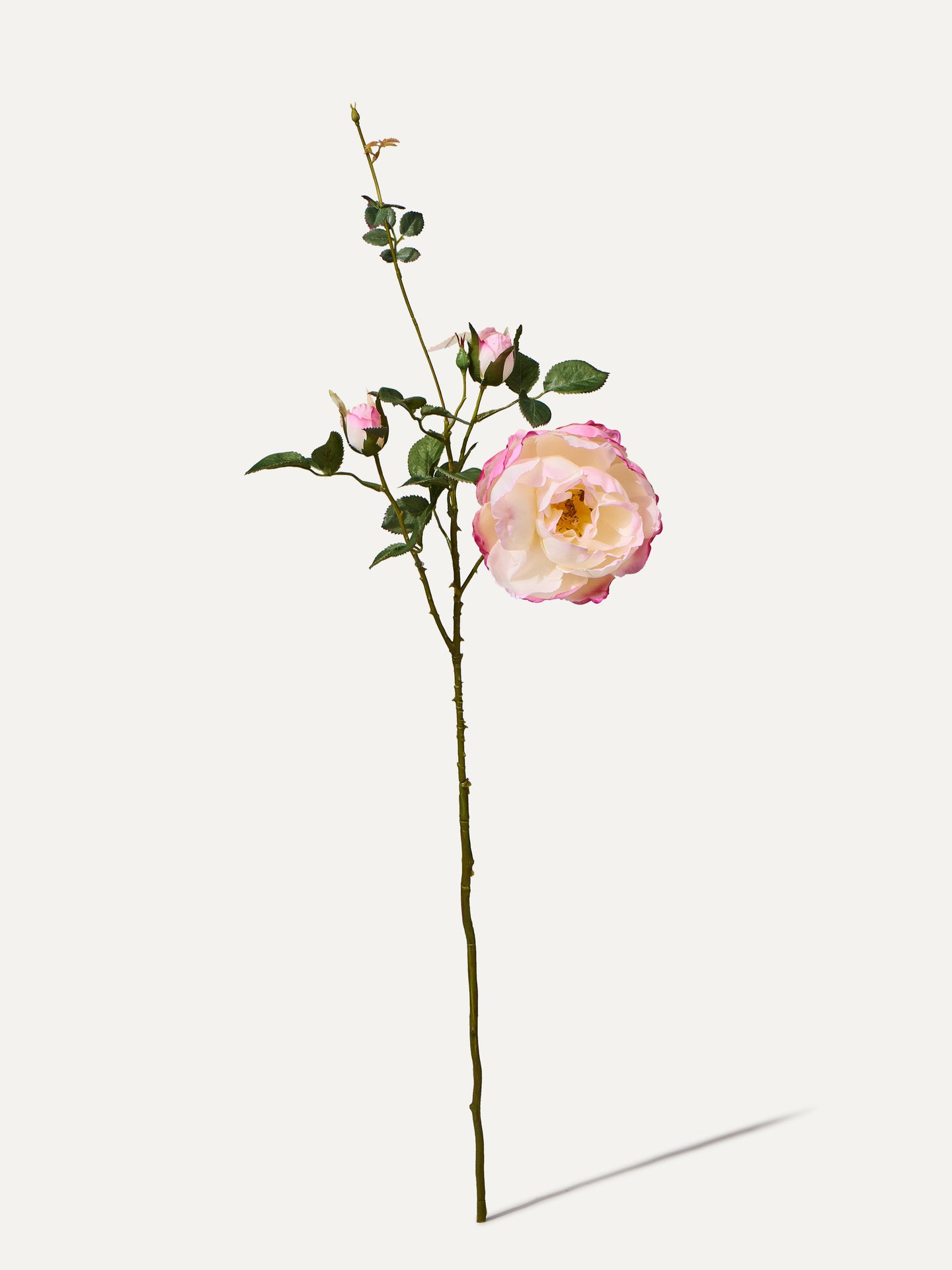 Rose Zweige 80 cm